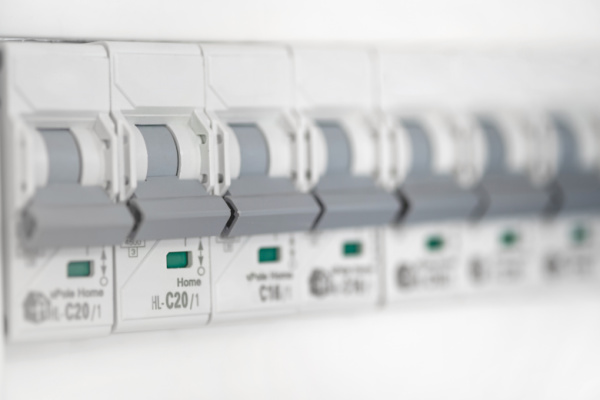Electrical panel and breaker